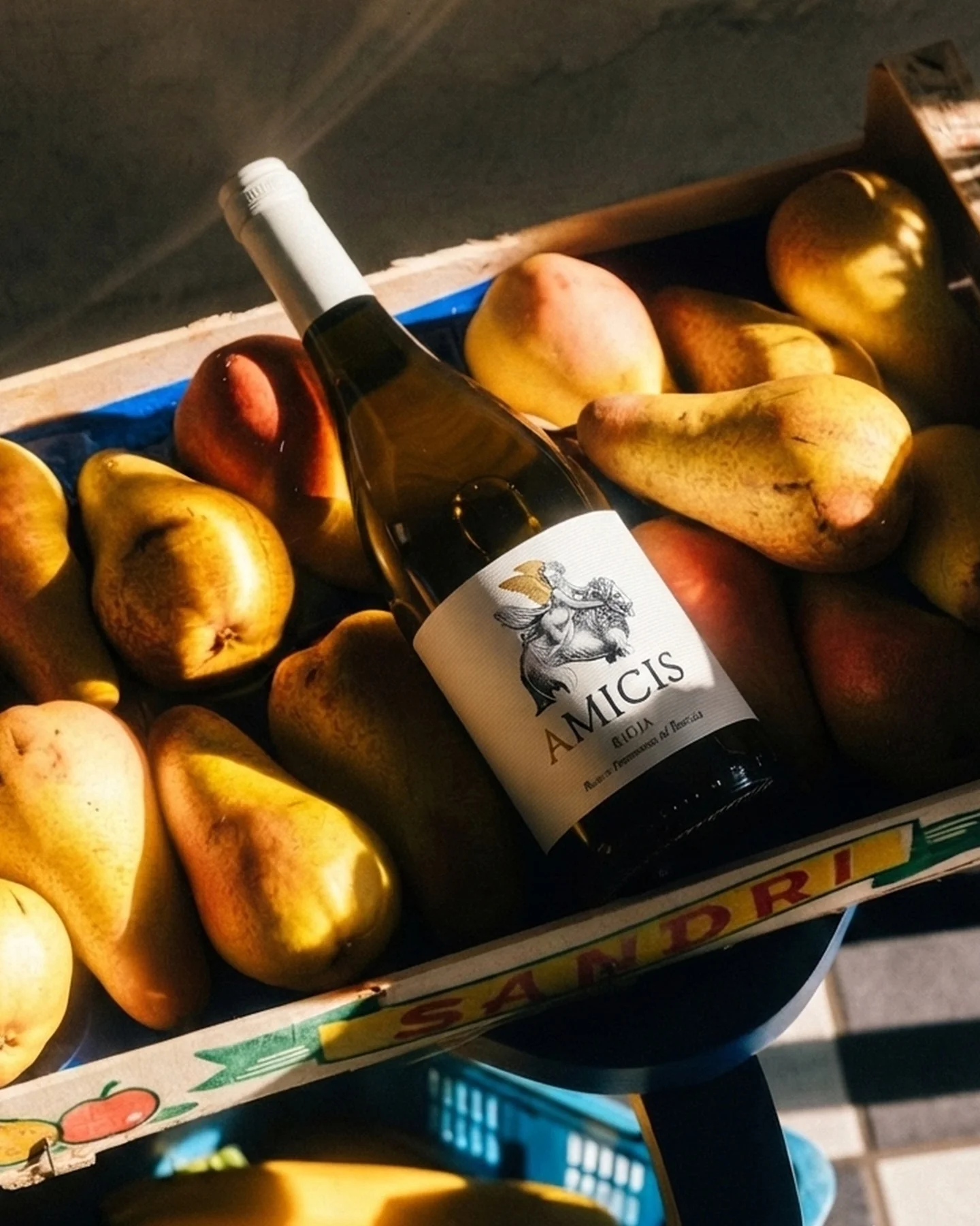 Bodegas HPM Social Media